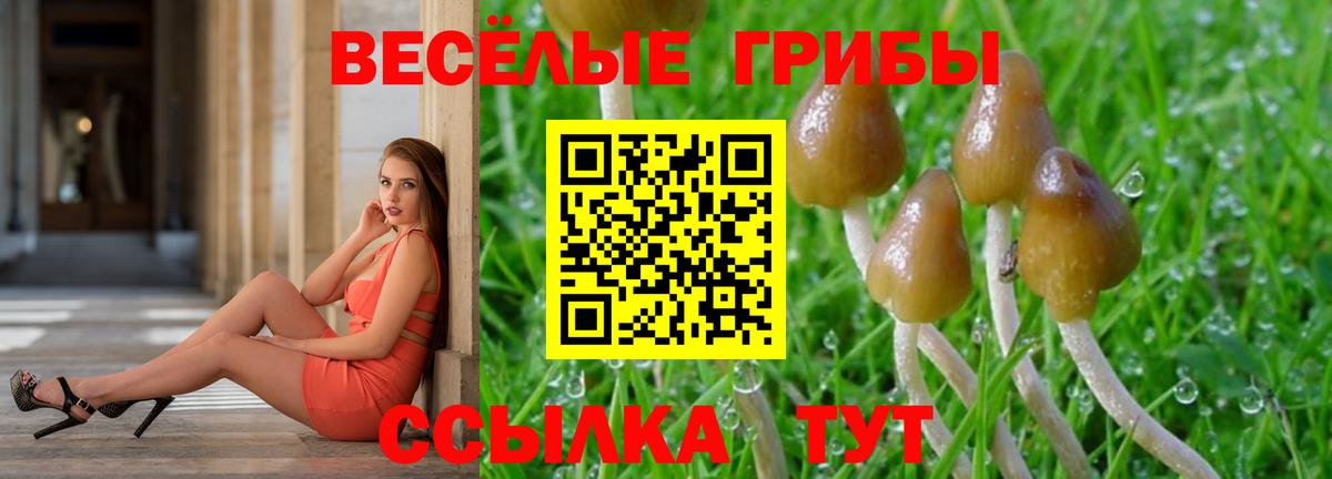 Псилоцибиновые грибы MAGIC MUSHROOMS  Галлюциногенные грибы Magic Shrooms  Новый Уренгой  Вход с VPN 